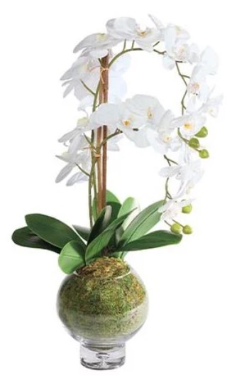 A realistic faux white orchid arrangement in a glass vase, the kind of arrangement Ethan Allen carries